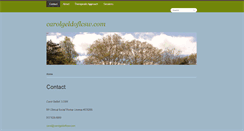 Desktop Screenshot of carolgeldoflcsw.com